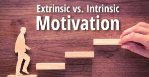 Extrinsic vs. Intrinsic Motivation: Discover What Really Motivates Others & How To Leverage It To Improve Productivity, Loyalty & Satisfaction