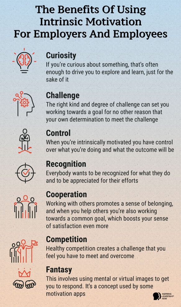 extrinsic vs intrinsic motivation assessment