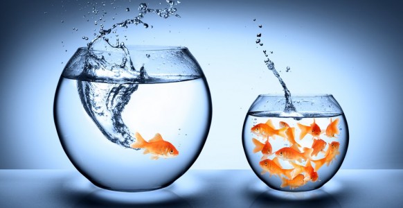 Unconventional Leadership Qualities