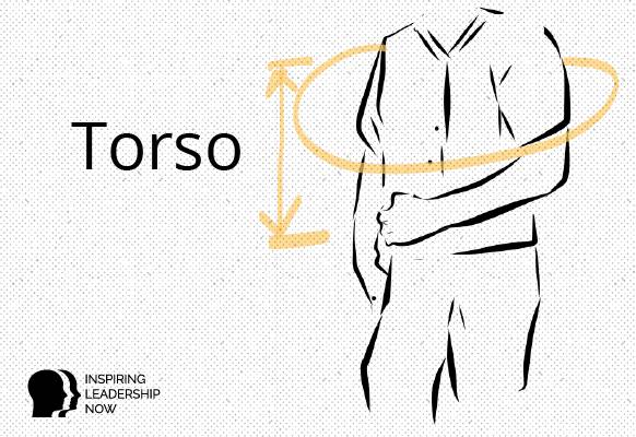 Torso meaning