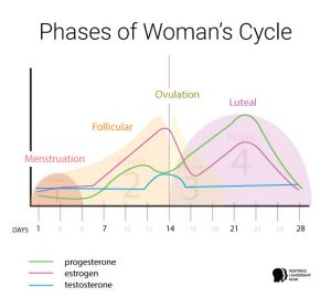 How To Be More Productive By Tuning Into Your Menstrual Cycle