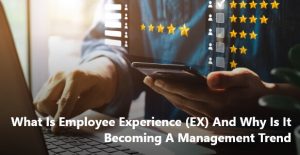 what is employee experience