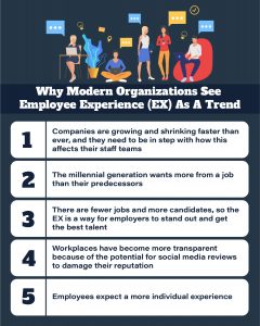 what is employee experience