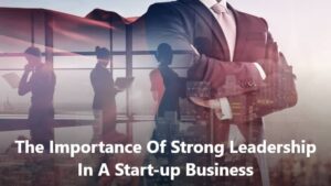 leadership in a start up business