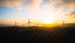 Integrate sustainability into strategic business goals